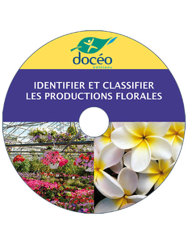 Video Identifier et Classifier les productions florales