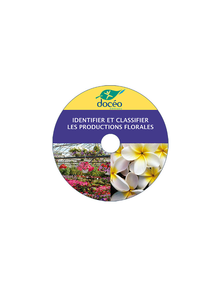 Video Identifier et Classifier les productions florales