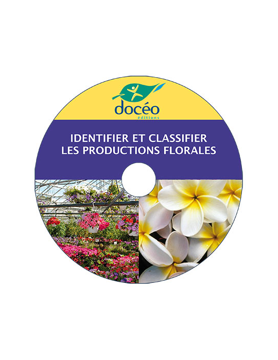 Video Identifier et Classifier les productions florales