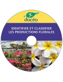 Video Identifier et Classifier les productions florales