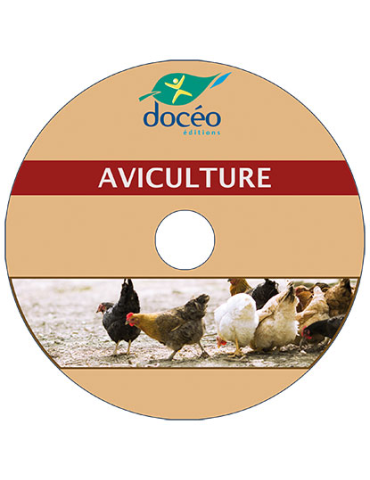 Video Aviculture