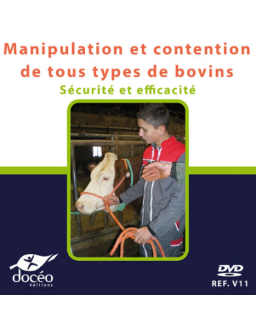Vidéo - Manipulation et contention de tous types de bovin